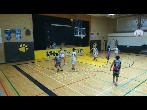 Ratel(51) tier 10 - 2023 Fall Brick Layers(31) - tcbl saturday