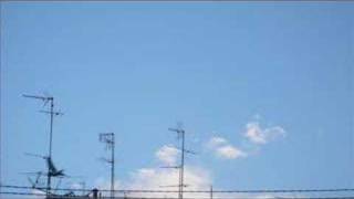 BRIGHT EYES.False Advertising.