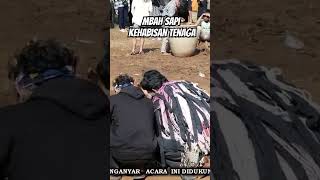 Download lagu semua gugup .. Mbah sapi lemas kehabisan tenaga.. mp3 Download lagu semua gugup .. Mbah sapi lemas kehabisan tenaga.. mp3