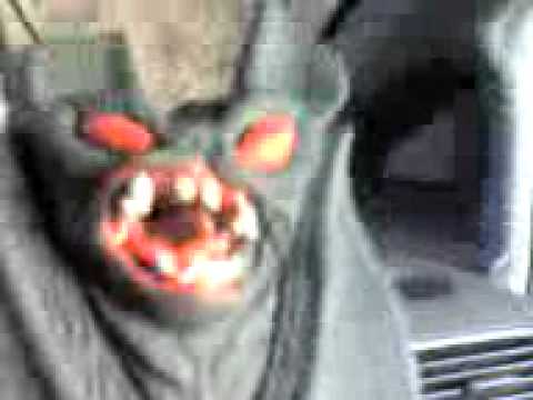 recado para gamister