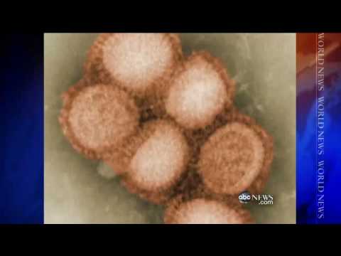 China Bans Pork Products