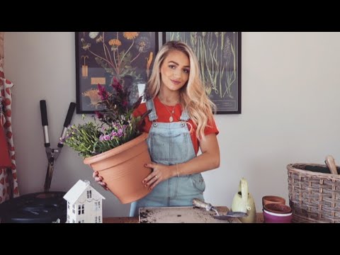 HOW TO PLANT FLOWERS IN POTS! / Gardening for beginners