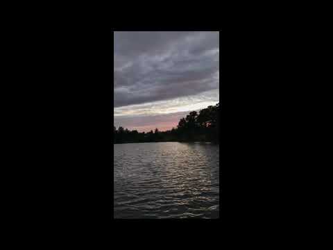 enxsp - co powie każdy