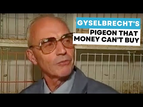 The Story of the Barcelona Winner 1995 from Remi Gyselbrecht