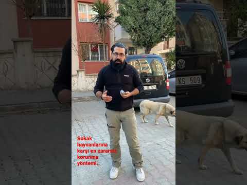 Sokak hayvanlarına karşı en zararsız korunma yöntemi DAZER 2
