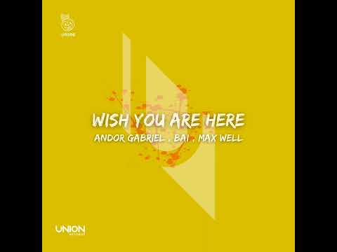 Max Well, Andor Gabriel & BAI - Wish You Are Here (Extended Mix) || Afro House Source | #afrohouse