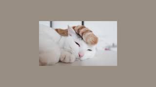 Kunto Aji - Rehat Panjang 2 Jam Loop Solfeggio Frequency (Study // Sleep // Relax)