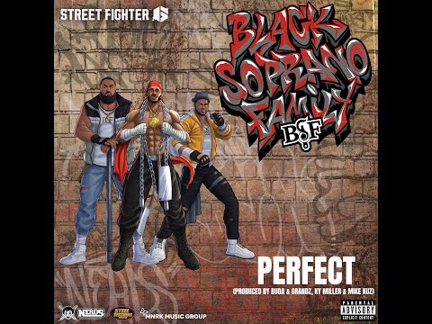 Steel Sessions & Black Soprano Family - Perfect (Official Lyric Video)