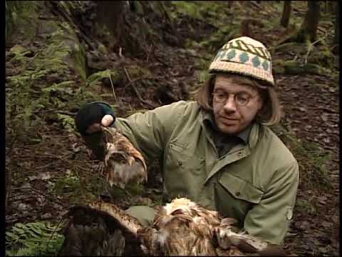 Mankeli - Skiigge Böy