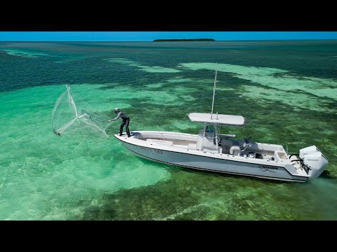 Inshore - Live Bait - Patch Reef Fishing - Dealers Choice