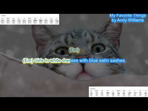 My Favorite Thing - Andy Williams