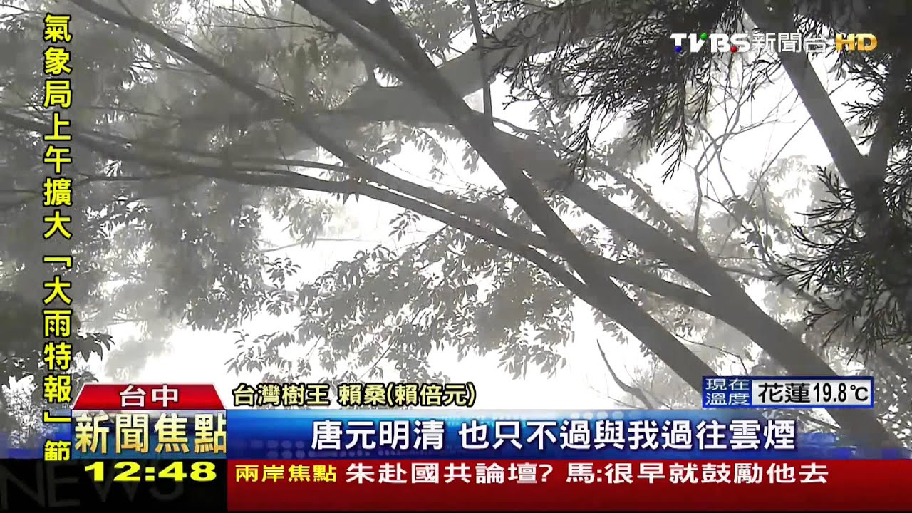 ​30年拿20億種樹！　台灣樹王賴桑全送地球