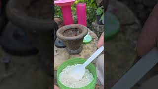 Download lagu Kayu manis dengan garam khasiat sembuh sakit senah seni dan beripatan badan mp3 Download lagu Kayu manis dengan garam khasiat sembuh sakit senah seni dan beripatan badan mp3