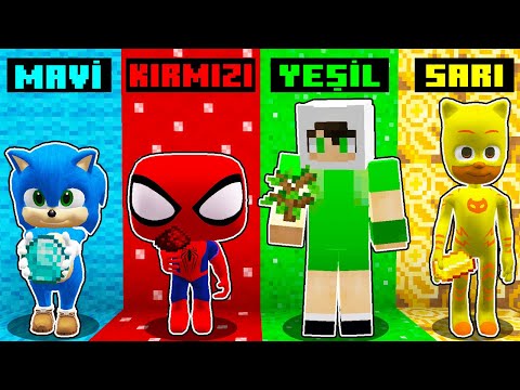 HANGİ GİZLİ RENGİ SEÇMELİYİM - ⚠️ Minecraft