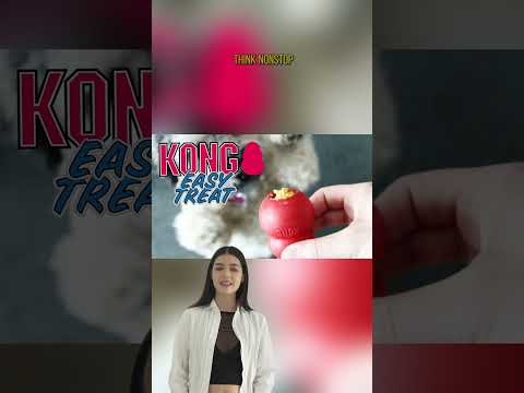 Kong Dog Toy: Fun PB Treat Recipe