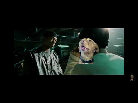Gangsta Dog Rape Battle