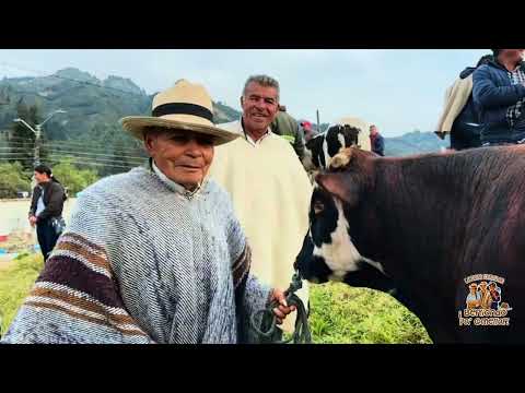 Fiesta del campesino Sutatausano 2026 ￼