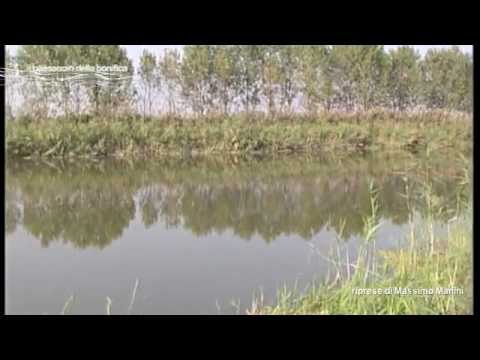 il bondeno alle valli di novellara