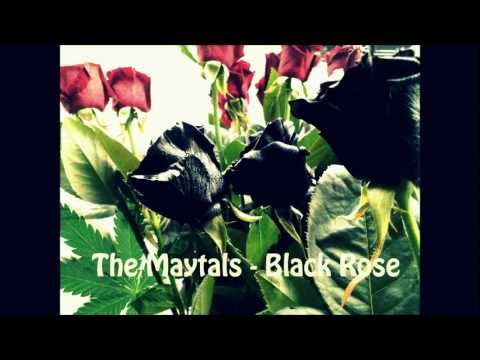 Black Rose lyrics