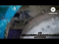 Mahindra Blazo Chassis Number Location 2017 Model Mahindr Mahindra Blazo Ka Chechis Number