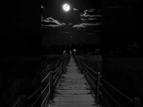 𝓺𝓪𝔂𝓼𝓲 𝔂𝓸𝓵𝓷𝓲 𝓽𝓪𝓷𝓵𝓪𝓻𝓭𝓮𝔃