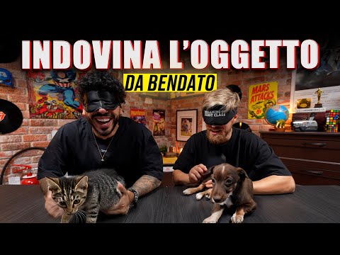 GUESS THE MOST IMPOSSIBLE OBJECT TO BLINDFOLD EVER - HELP TODAY REALLY EVERYTHING HAPPENED!