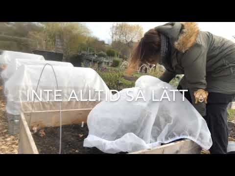 Konsten att sätta på en fiberduk på en pallkrage 😁