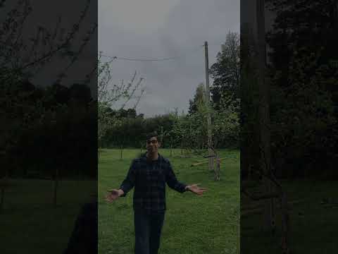 Proyecto Ceres IA - Luis San Martín Duran / ingeniería agrícola 