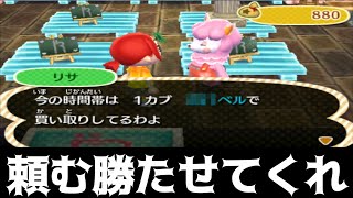【とび森】全財産をカブにぶち込んでみたｗｗｗｗ【とびだせどうぶつの森】