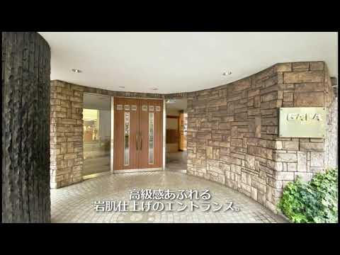 動画サムネイル