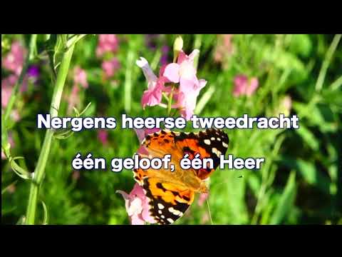 Opwekking 043 In Gods overwinning