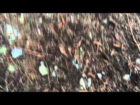 how to survive a fall