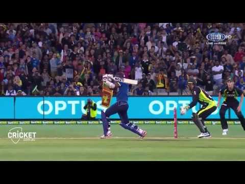 සිංහයෝ | Tribute to Sri Lankan Cricket