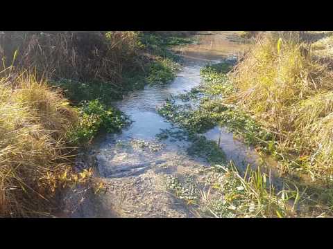 R-1253-Live off or on grid-country home 10 acres spring, for sale in WI 2 of 4 videos