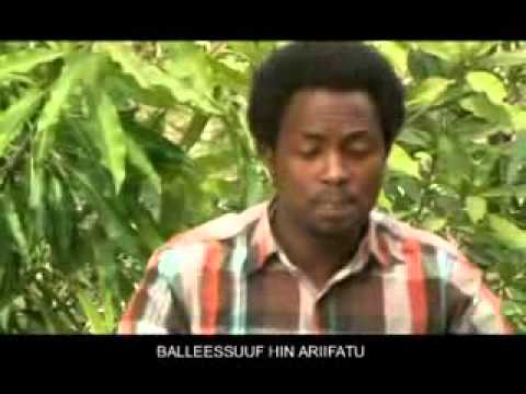 Eenyuu Michuun: Far. Yaadasaa Shirrii