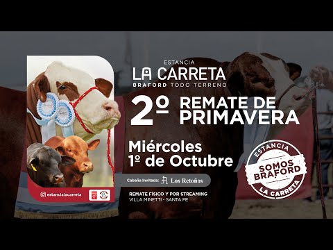 🔴📡 EN VIVO - 2° Remate de Primavera - Vientres & Reproductores - Miércoles 1 de Octubre 2025