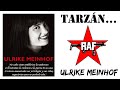 Tarzán...-Ulrike Meinhof- 