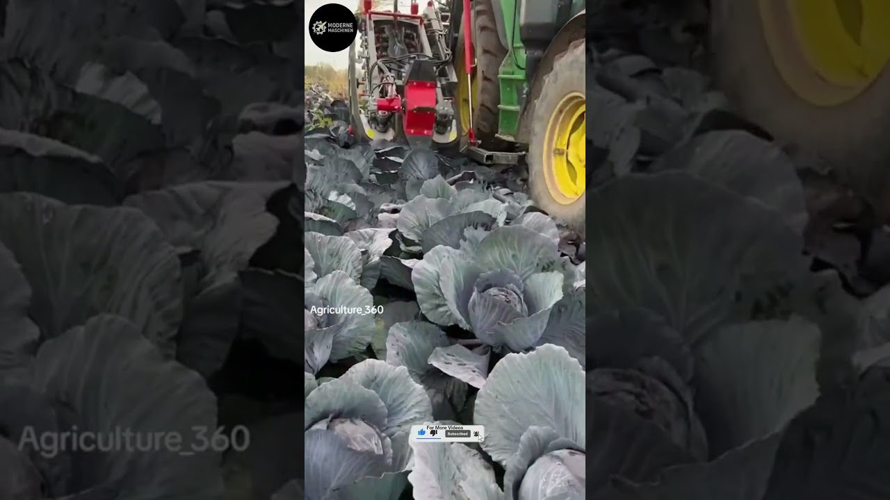 Amazing Farming Machines 🚜 Vegetable Harvesting, Sorting & Tree Sprayers in Action #farming