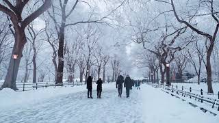 Steve Forbert - &quot;Rain And Sleet And Snow&quot;
