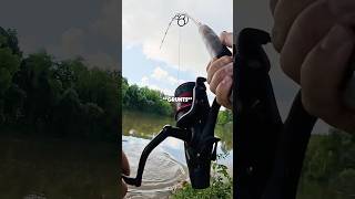 Using rotting bait to catch river monsters.