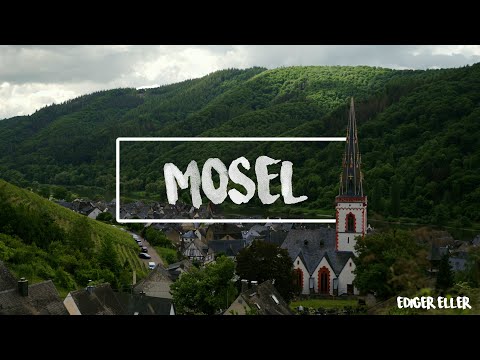 Weinberge an der Mosel | Vlog