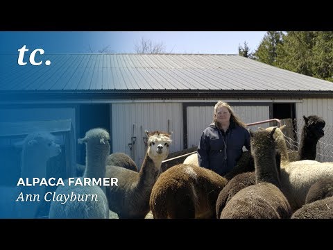 , title : 'Electrician Turned Alpaca Farmer Makes a Career Out of Cuteness'