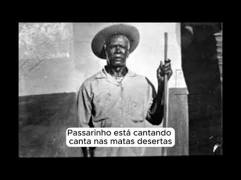 69- PASSARINHO (MARCHA)