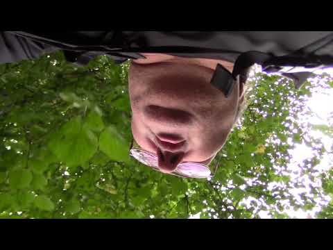 MongoTV_1267 - Del 2 - Min Søndagsgåtur Til Furesøen