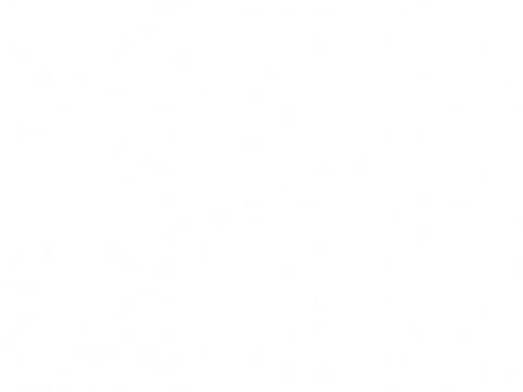 Pitchfork and Hopf bifurcations