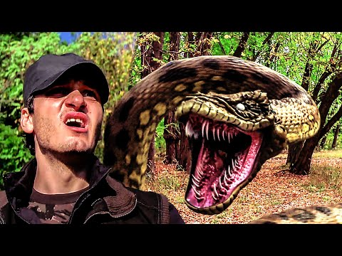 Anacondas: Trail of Bloodの予告・参考動画サムネイル