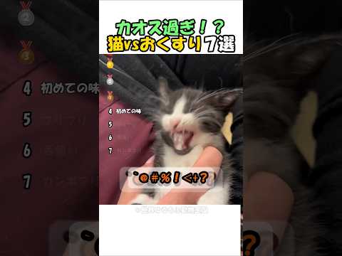 ㊗️120万再生🌸猫におくすりどうやって飲ませる？ランキング #海外 #動物 #funnyanimals