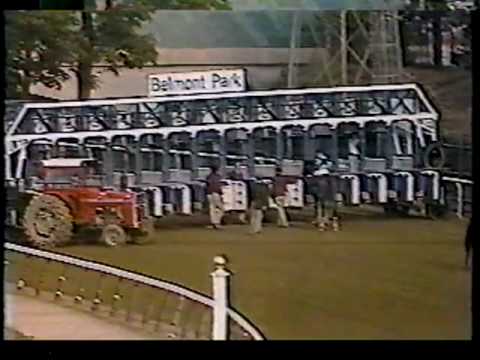 Spectacular Bid - 1980 Woodward Stakes (CBS)