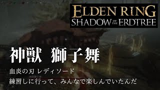 [エルデンリング DLC] ＃1 まったり実況  手に入れたばかりのレディソで練習しに行ったら獅子舞を倒してしまった、まったり主