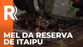 Miniatura do vídeo